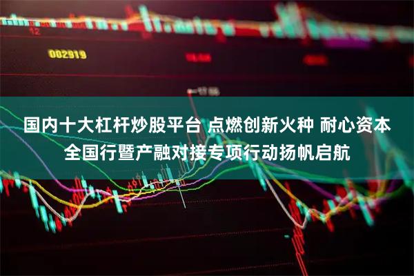 国内十大杠杆炒股平台 点燃创新火种 耐心资本全国行暨产融对接专项行动扬帆启航
