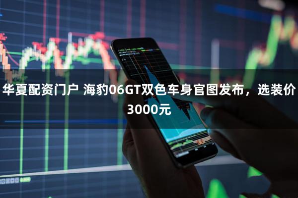 华夏配资门户 海豹06GT双色车身官图发布，选装价3000元